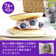 ﾌﾞﾙﾍﾞﾘーｽﾏﾎｱｲｺﾝ