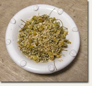 カモマイル・ジャーマン