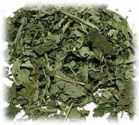 レモンバーム（メリッサ）