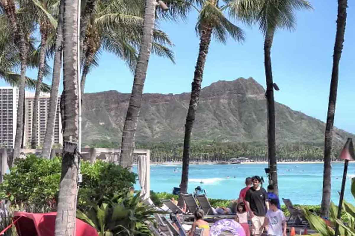 ハワイフェス・ライブ中継チケット「Power of Joy in Hawaii 2020」