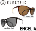 electric_encelia_mein1