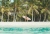 BILLABONG_surfvibes_peeky_jacket7