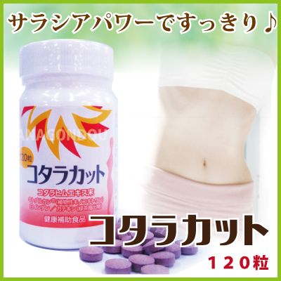 コタラカット サラシア（コタラヒム）配合。4つのパワーですっきり健康！【レビューで送料無料】[p10]