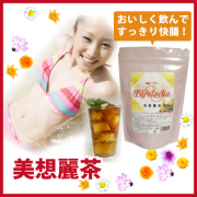 美想麗茶 【キャンドルブッシュ、ハトムギ、玄米、サンペンズ、ギムネマ、ルイボス、ローズヒップの絶妙ブレンド茶】【レビューで送料無料】[p10]