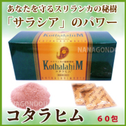 コタラ【協和薬品】 60包　コタラヒムエキス末（サラシアレティキュレータ）を３００ｍｇ配合[p10]