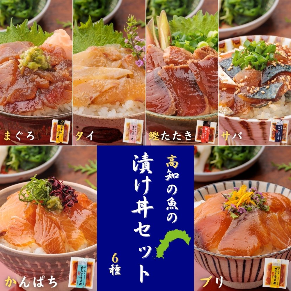 高知の魚の漬け丼 6種 タイ・マグロ・カンパチ・サバ・鰹たたき・ブリ 宇佐もん工房