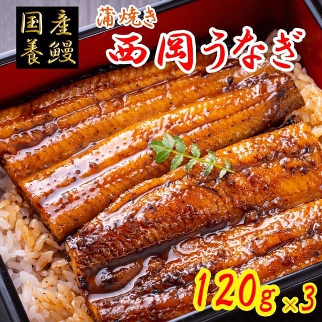 西岡うなぎ 国産養鰻 高知県田野町 奈半利川 蒲焼き 120g×3