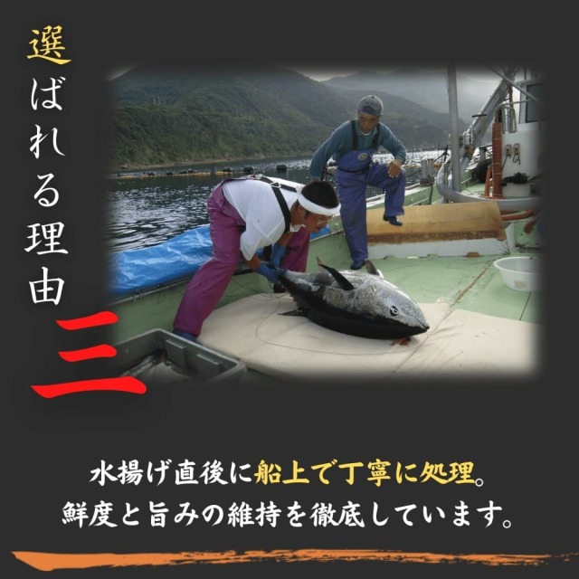 お値下げ中　明治初期　極上　本鼈甲　帯止め　末広型 item_gallery