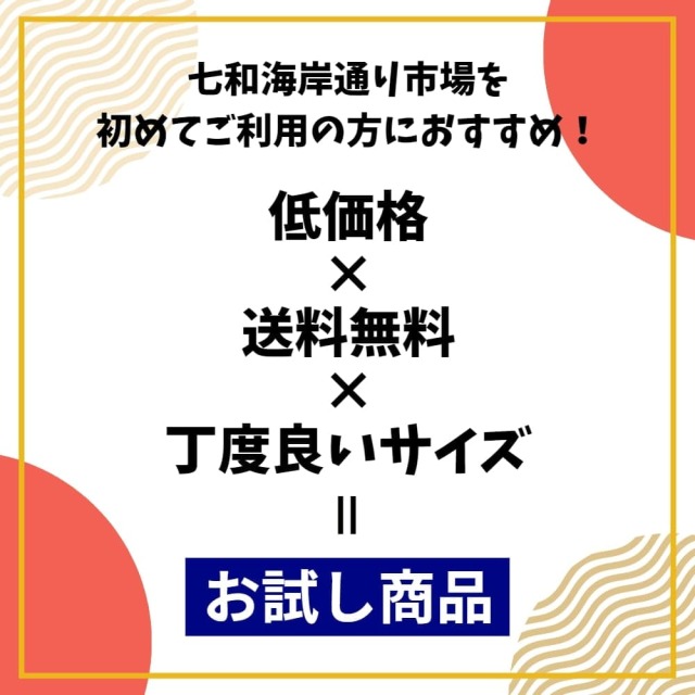 お試し商品　低価格　送料無料　丁度良いサイズ　