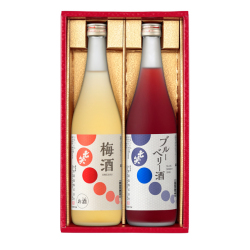 リキュールセット　ブルーベリー酒、梅酒の2本セット（720ml×2本）