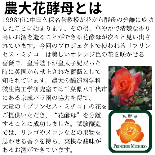 義仲2025 特別純米 720ml 七笑酒造 日本酒