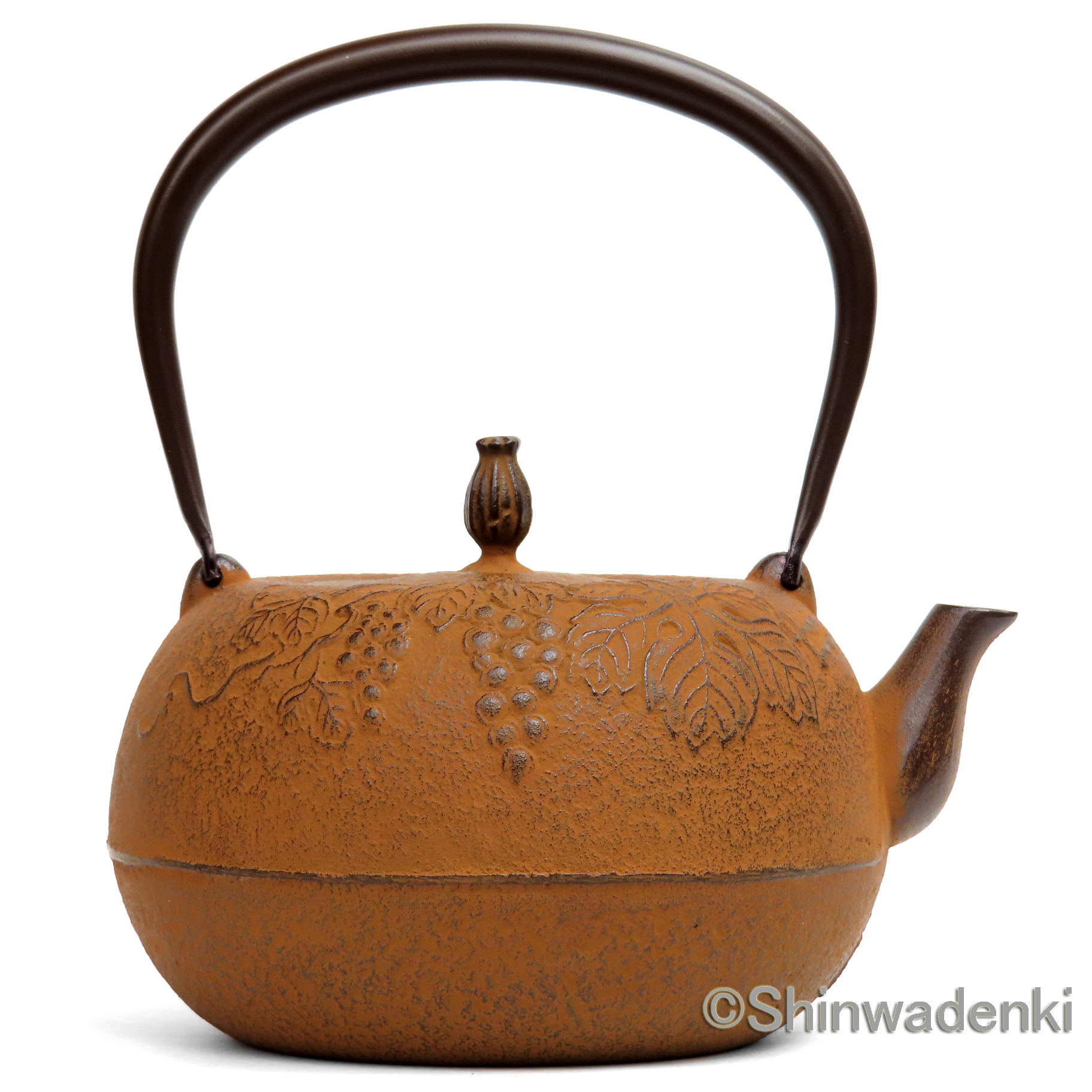 南部鉄器 鉄瓶 姥口葡萄 錆色