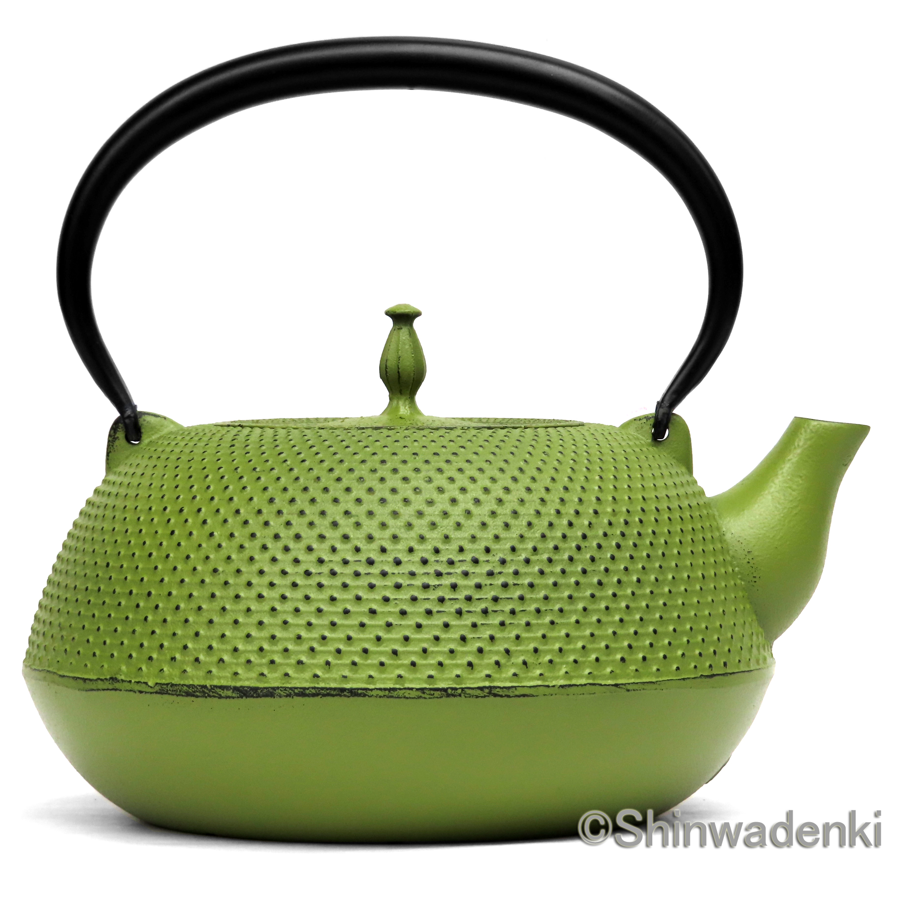 南部鉄器 鉄瓶 眞 大