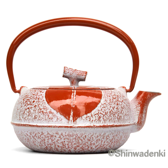 南部鉄器 ティーポット 急須 木の葉