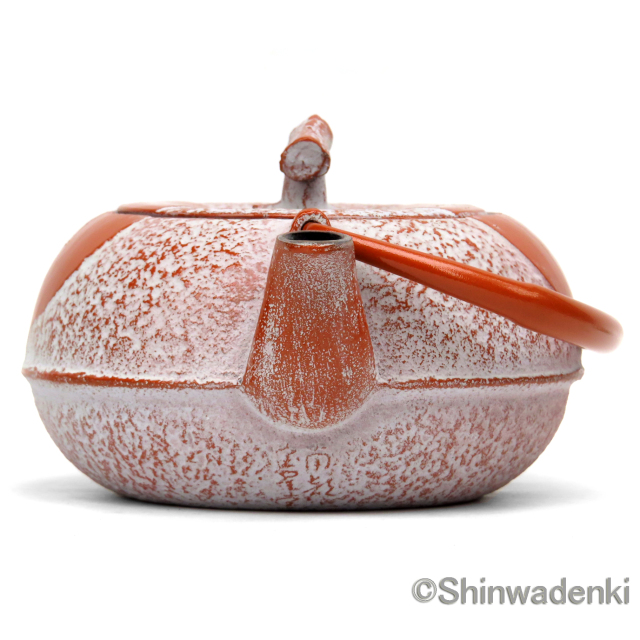 南部鉄器 ティーポット 急須 木の葉