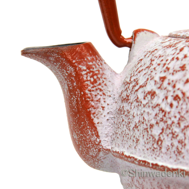 南部鉄器 ティーポット 急須 木の葉