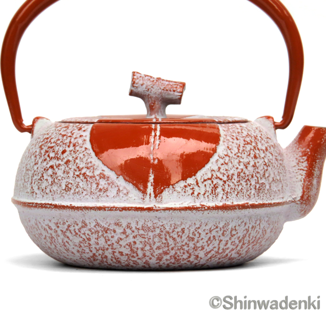 南部鉄器 ティーポット 急須 木の葉