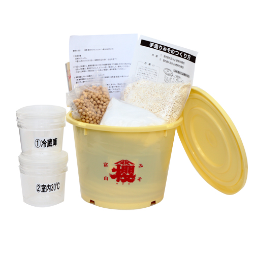 夏休み 味噌作り 自由研究 キット