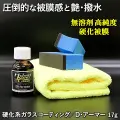 新車以上に輝く！本物のプロ用硬化被膜ボディガラスコーティング剤【無溶剤・高純度・高耐久】硬化系コーティング剤／Dアーマー17g