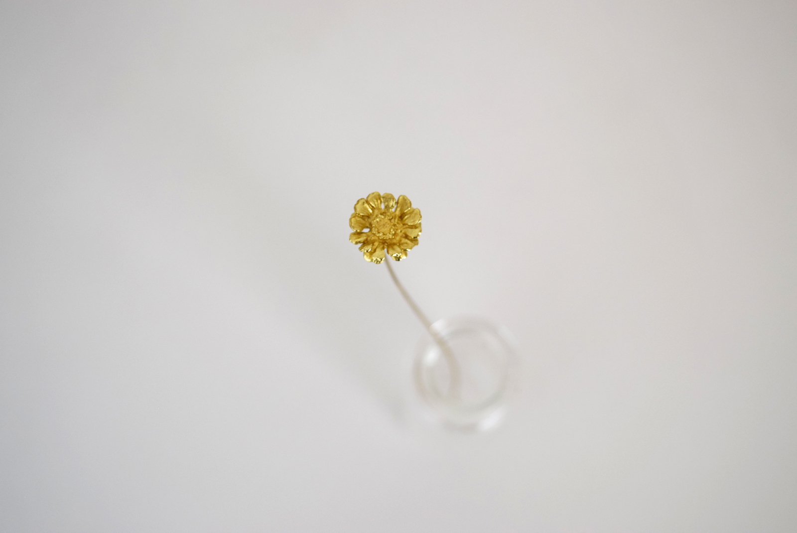 アステリスクス