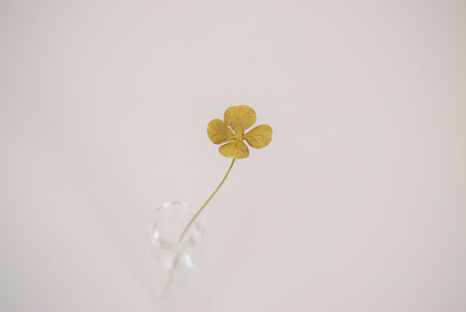 メタルプランツ四つ葉