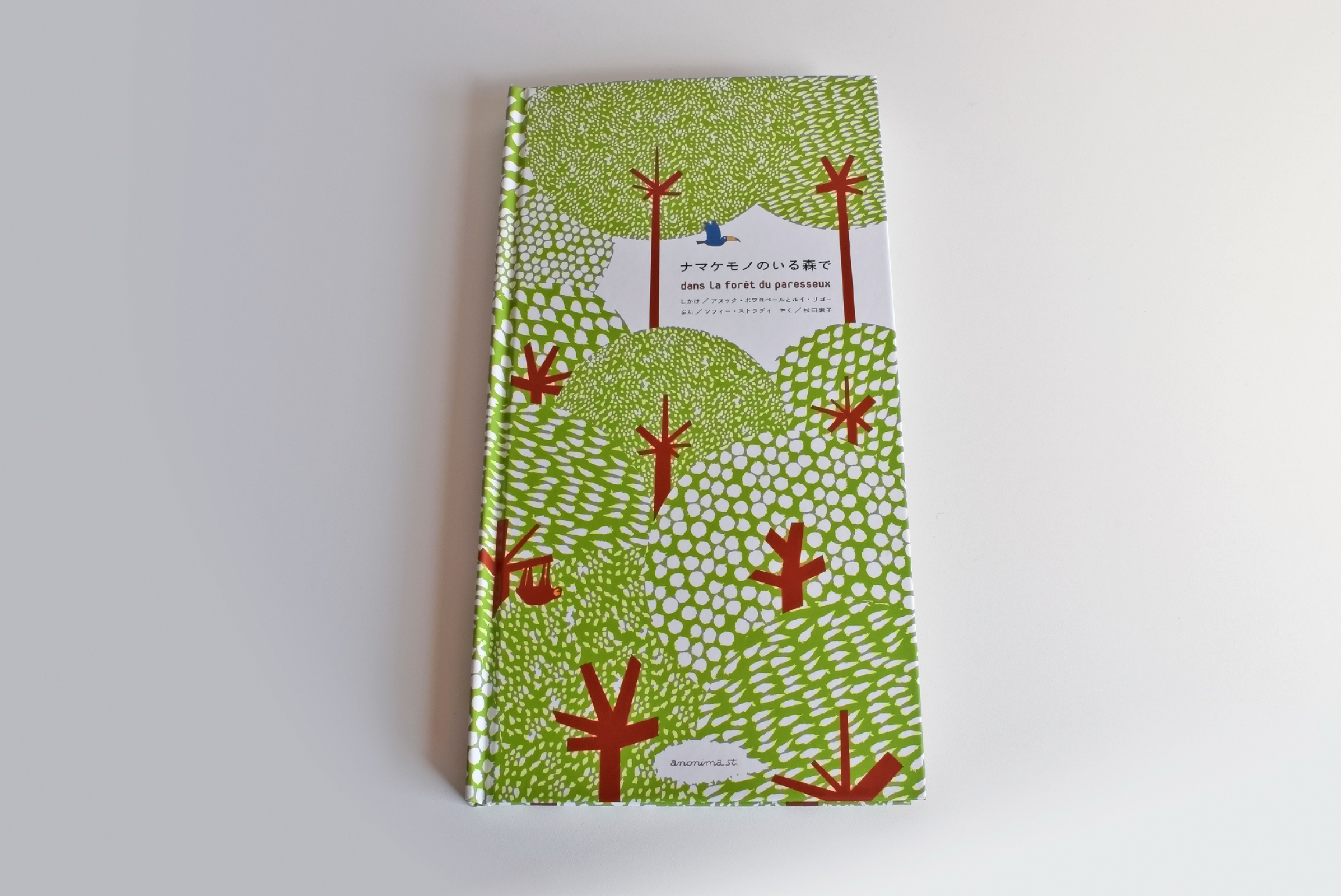 ナマケモノのいる森で