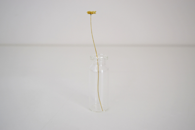 アステリスクス