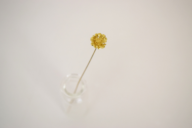 アステリスクス