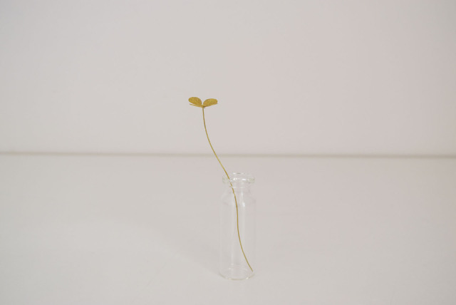 メタルプランツ四つ葉