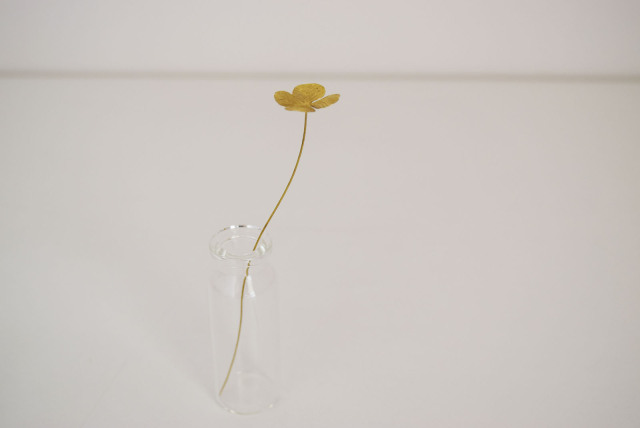 メタルプランツ四つ葉