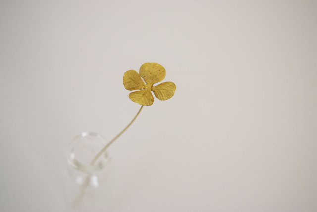 メタルプランツ四つ葉