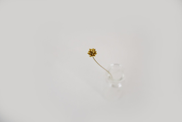 メタルプランツ「シロツメクサ」