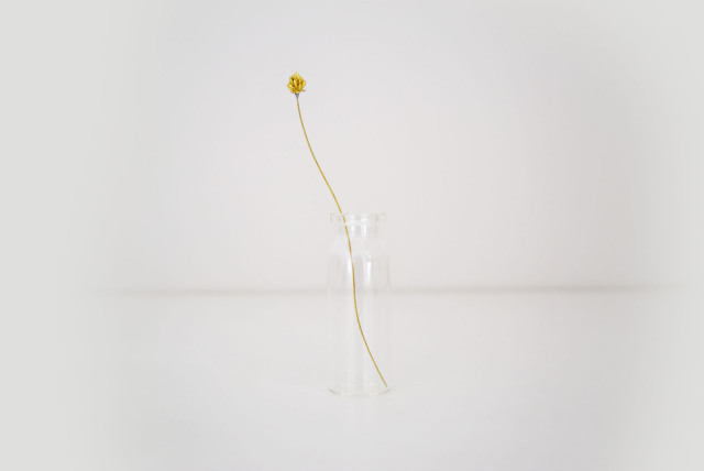 メタルプランツ「シロツメクサ」