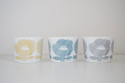 DAY BY DAY CUP FLOWER