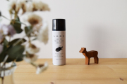 ALL IN SHOE CARE SPRAY(オールインシューケアスプレー)