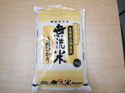★2026年産新米★兵庫県淡路島産　無洗米　キヌヒカリ　5kg【淡路米 あわじ米】【淡路島　鳴門千鳥本舗】