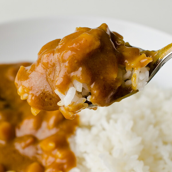雑誌掲載商品】淡路島玉ねぎカレー