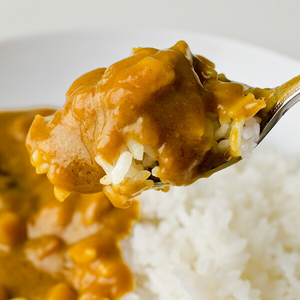 雑誌掲載商品】淡路島玉ねぎカレー