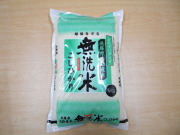 ★2026年産新米★兵庫県淡路島産　無洗米　コシヒカリ　5kg【淡路米 あわじ米】【淡路島　鳴門千鳥本舗】