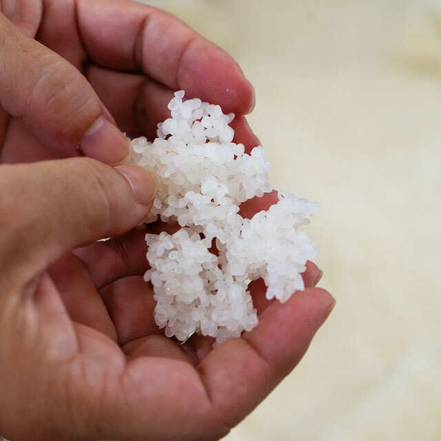 松浦酒造の新杜氏 松浦素子が紡ぐ、鳴門鯛の真骨頂｜鳴門鯛 大吟醸 十代目
