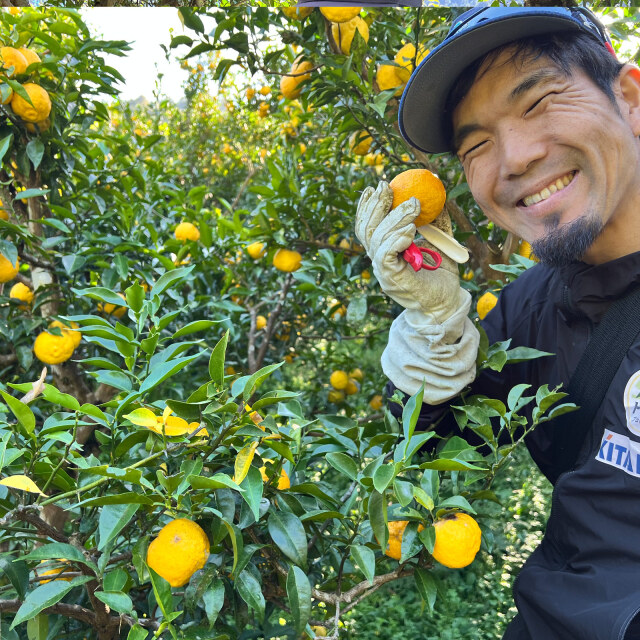 徳島県応援芸人 中山女子短期大学プロデュース｜水ト米ト木頭ゆず酒 500ml