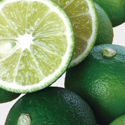 爽やかさと苦みのベストマッチ｜松浦 にごりすだち酒 500ml