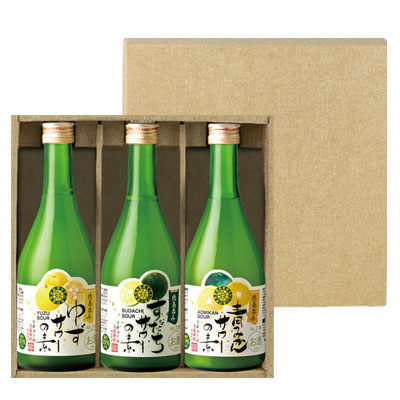 松浦 サワーの素ギフトセット NARUTOTAI SHOP