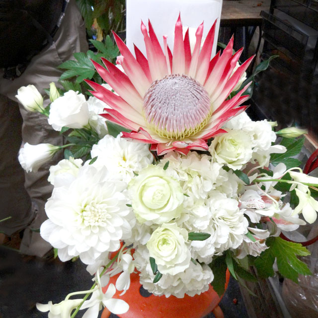 結婚祝い　花　アレンジメント　プロテア　ネイティブフラワーイーダ　東京花屋