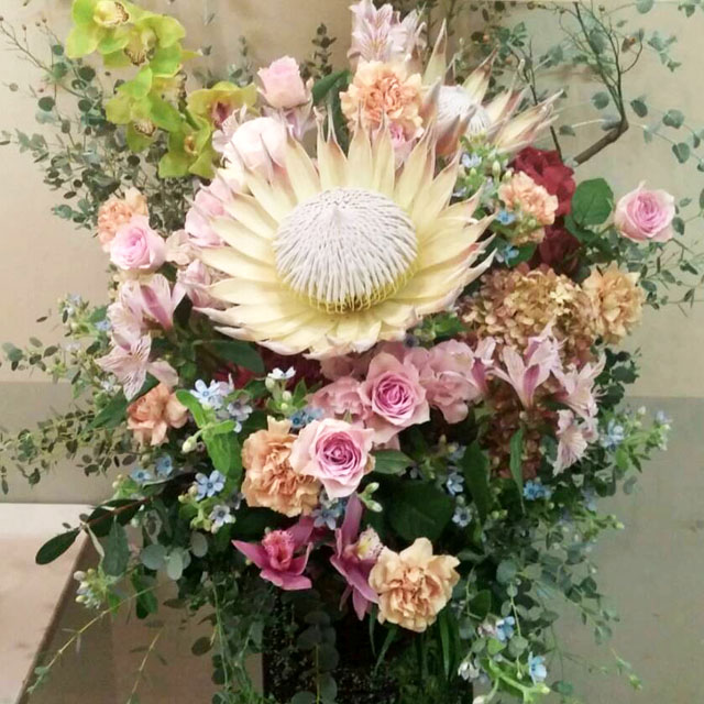 �ȥ��ԥ��� 