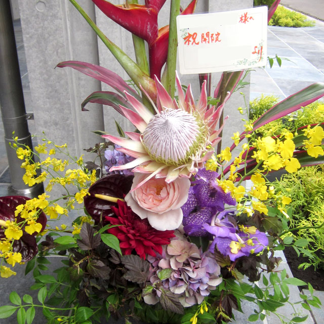 お祝い　花　アレンジメント　東京　二子玉川の花屋　ネイティブフラワーイーダ
