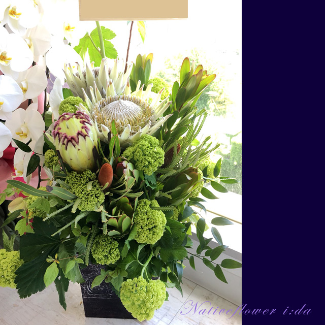 開店祝い花　アレンジメント　二子玉川の花屋ネイティブフラワーイーダ