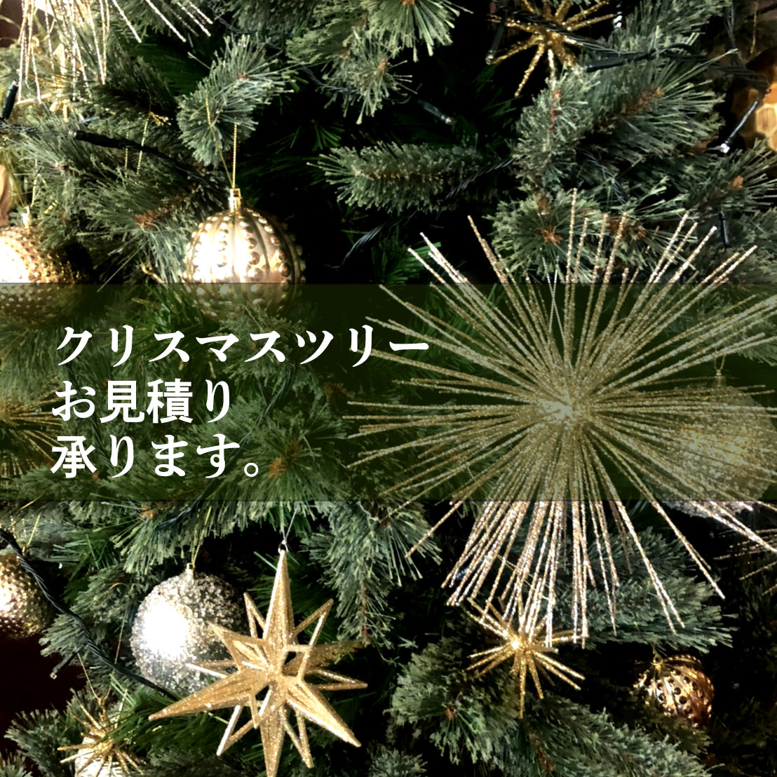 二子玉川花屋　ネイティブフラワーイーダ　クリスマス