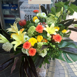 開店祝い　お花　大きなアレンジメント　二子玉川の花屋ネイティブフラワーイーダ