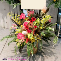 公演祝い　花　楽屋花　東京舞台公演に贈る花